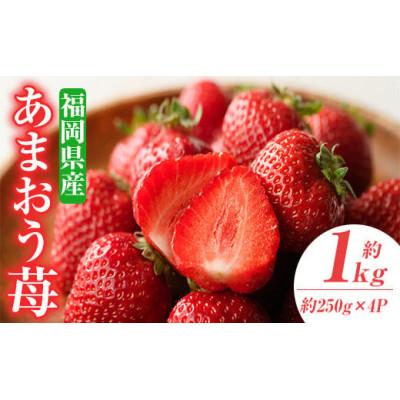 ふるさと納税 春日市 [数量限定!2026年3月以降発送予定]フルーツ専門店が選んだ「あまおう苺」春4パック(春日市)