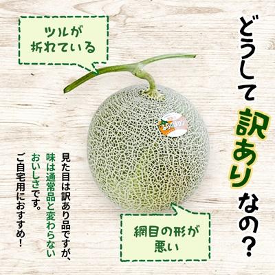ふるさと納税 富良野市 【2026年発送】【訳あり】 富良野メロン 2玉(1