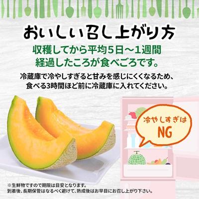 ふるさと納税 富良野市 【2026年発送】【訳あり】 富良野メロン 2玉(1