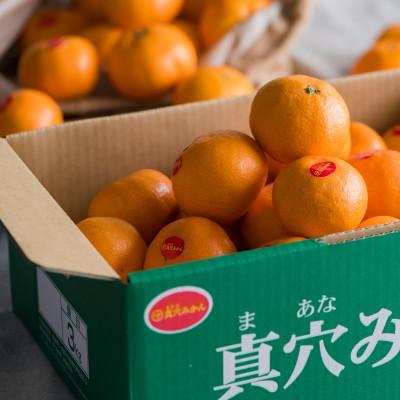 ふるさと納税 八幡浜市 真穴みかん【Mサイズ】 約3kg【D43-10】 : さと