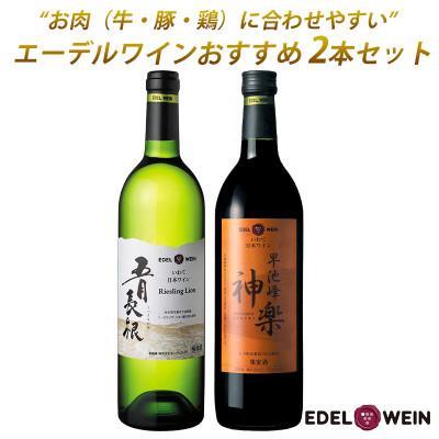 ふるさと納税 花巻市 お肉に合うおすすめワイン2本セット 五月長根リースリング・リオン(白)早池峰神楽ワイン(赤)