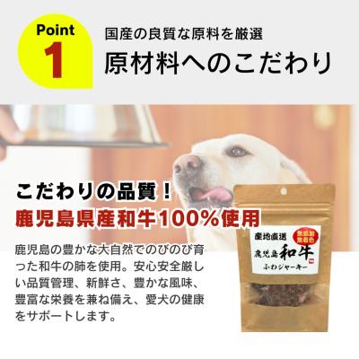 ふるさと納税 久留米市 産地直送 鹿児島 和牛ふわジャーキー 20g×30袋セット(久留米市)の画像
