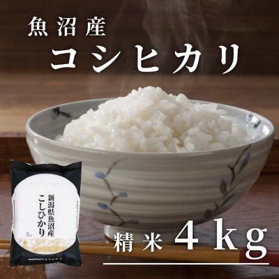 ふるさと納税 湯沢町 令和7年産 「雪蔵仕込み」 精米(白米)4kg [湯沢産コシヒカリ]