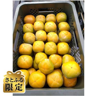 ふるさと納税 橋本市 [先行受付][さとふる限定]和歌山県産たね無し柿A品 L・2Lサイズ箱込み計5kg