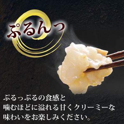 ふるさと納税 八女市 やまやの博多もつ鍋 あごだし醤油味(4人前)(八女市)
