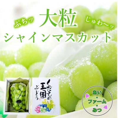 ふるさと納税 岡山市 シャインマスカット1房箱 650グラム以上大房