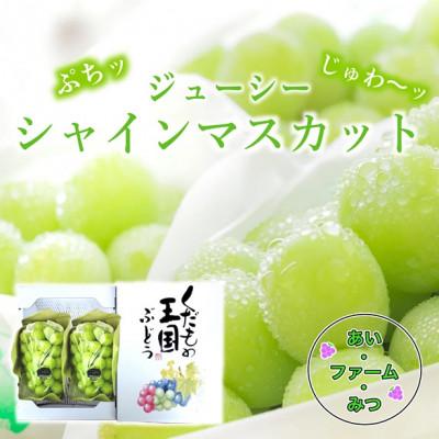 ふるさと納税 岡山市 シャインマスカット2房箱(ご家庭用)