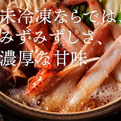 ふるさと納税 琴浦町 【2026年11月発送】特撰 松葉がに(茹)【タグ付き】1kg3杯 ※足の欠けなし N3_Yの画像