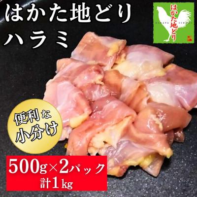 ふるさと納税 飯塚市 はかた地どり ハラミ 計1kg(500g×2)真空パック凍眠 希少部位のはらみを便利な小分けでお届け