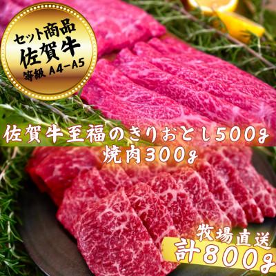 ふるさと納税 佐賀市 佐賀牛セット 至福のきりおとし500gと焼肉300g