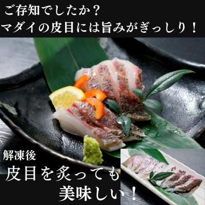ふるさと納税 沼津市 トロのような脂ノリ!沼津産真鯛 お刺身(皮目湯引き 柵皮)約130g×10袋