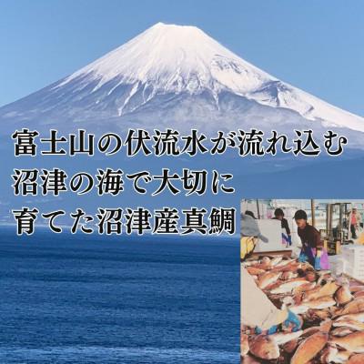 ふるさと納税 沼津市 トロのような脂ノリ!沼津産真鯛 お刺身(皮目湯引き 柵皮)約130g×10袋
