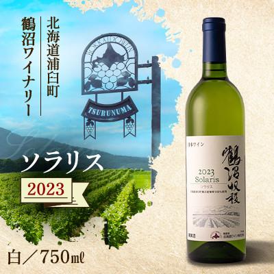 ふるさと納税 浦臼町 鶴沼収穫ワイン [鶴沼ソラリス]2023年産 白ワイン・辛口