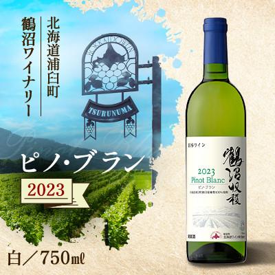 ふるさと納税 浦臼町 鶴沼収穫ワイン[ピノ・ブラン]2023年産 白ワイン 辛口