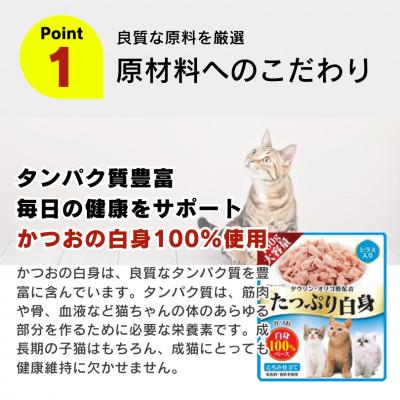 ふるさと納税 久留米市 たっぷり白身 猫用パウチ(ササミ入り)160g×48袋(久留米市)の画像