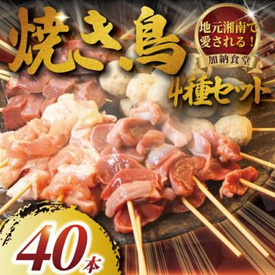 ふるさと納税 藤沢市 [訳アリ]焼き鳥 40本 4種 お任せセット 冷凍便でお届けします。