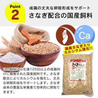 ふるさと納税 久留米市 コッコちゃん 成鶏用 さなぎ入 8.5kg(久留米市)の画像
