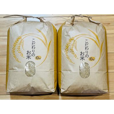 令和７年９月収穫　コシヒカリ玄米２０ｋｇ コシヒカリ 米 魚沼産 令和7年 玄米20kg 新潟魚沼産 南魚沼 しおざわ産
