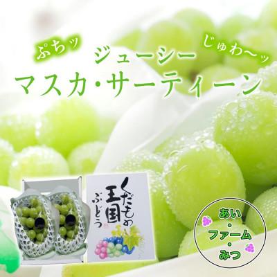 ふるさと納税 岡山市 マスカ・サーティーン(新品種) 2房箱