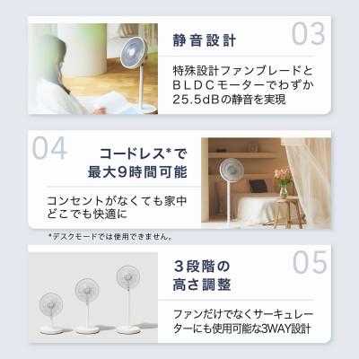 ふるさと納税 つくばみらい市 【LAViNO ラビーノ エアーループ
