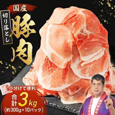 ふるさと納税 宮古市 家計応援!国産 豚肉 計3kg!(300g×10P) 豚 切り落とし 小分けで便利
