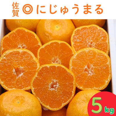 ふるさと納税 唐津市 にじゅうまる 5kg_[先行予約 2027年3月出荷予定] 佐賀県産[高級柑橘みかん]