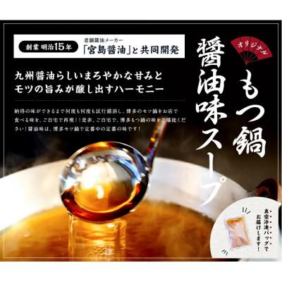ふるさと納税 八女市 博多醤油もつ鍋 3〜4人前仕かける(八女市)