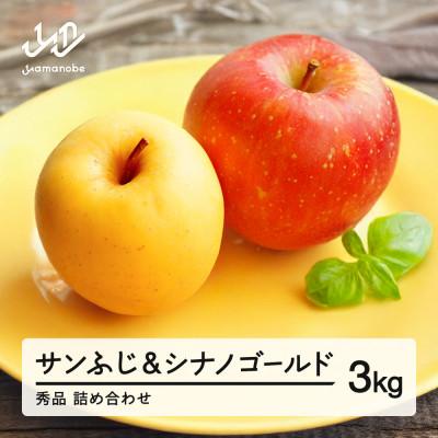 ふるさと納税 山辺町 [先行予約]2026年産 サンふじ&amp;シナノゴールド 3kg 秀品 詰め合わせ ns-rifgx3