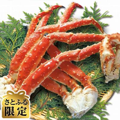 ふるさと納税 北見市 2代目漁師のお勧め 茹で本タラバ蟹脚 約2.4kgセット