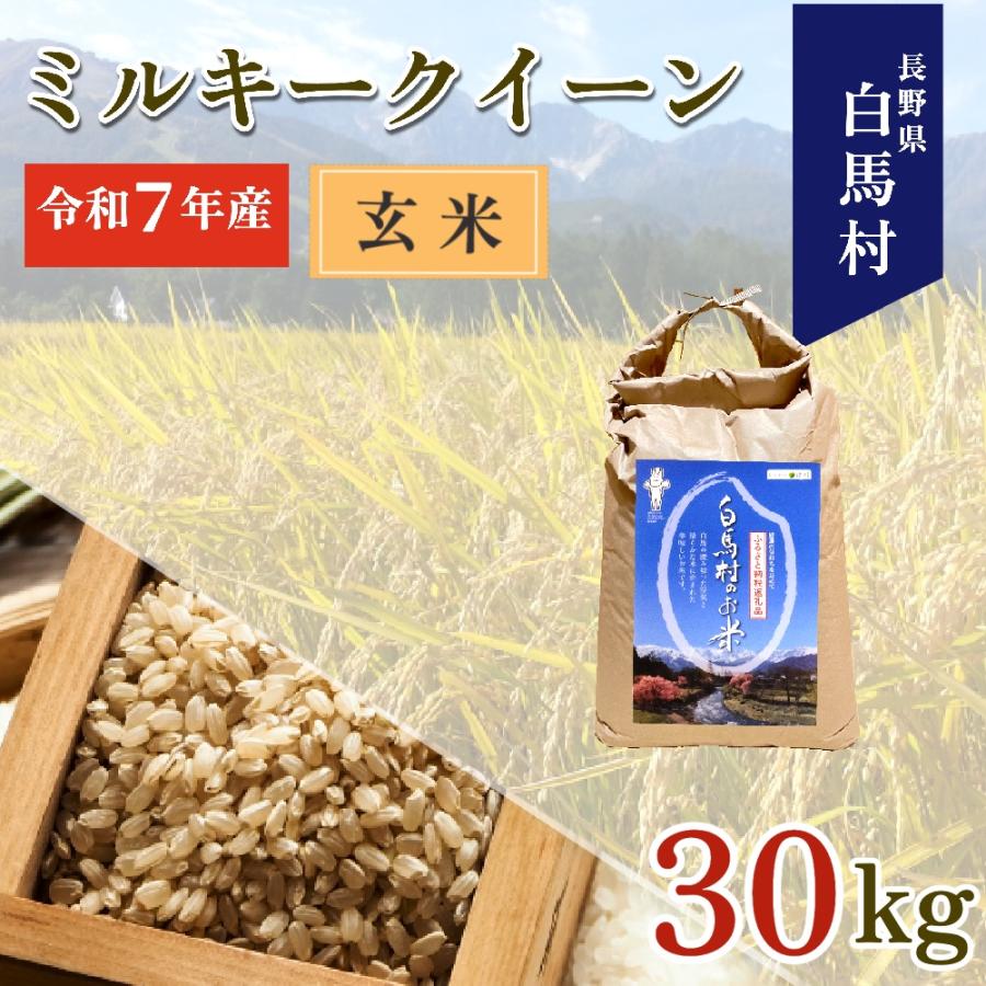 ふるさと納税 白馬村 【令和7年産】白馬産ミルキークイーン【玄米