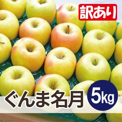 ふるさと納税 鶴田町 [26年4月出荷予定]平均糖度13度以上! ぐんま名月 約5kg 訳あり CA貯蔵 クール便