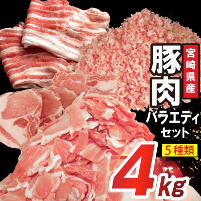 ふるさと納税 日向市 宮崎県産豚肉 詰め合わせ バラエティ セット 5種 4kg