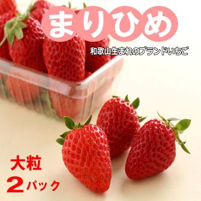 ふるさと納税 御坊市 [2026年1月より順次発送]和歌山生まれのイチゴ(まりひめ)大粒2パック
