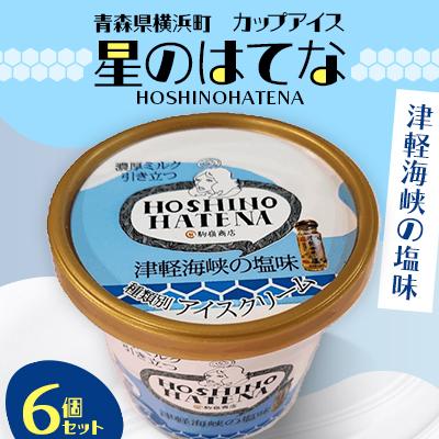 ふるさと納税 横浜町 [青森県 横浜町]星のはてな 津軽海峡の塩 6個セット