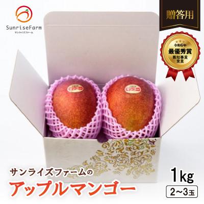 ふるさと納税 宜野座村 [2026年発送]令和6年沖縄県マンゴーコンテスト最優秀賞!サンライズファームの贈答用マンゴー1kg