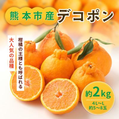 ふるさと納税 熊本市 熊本県産 デコポン 約2kg(熊本市)