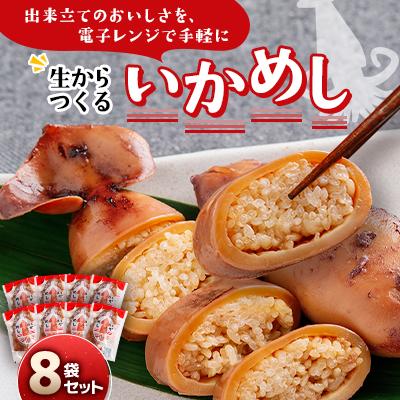 ふるさと納税 北斗市 いかめし8袋セット