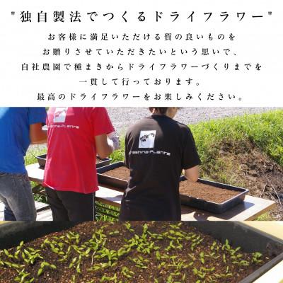 ふるさと納税 茅野市 信州八ヶ岳の麓から贈るナチュラルスワッグ M(イエロー)の画像