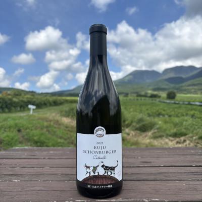 ふるさと納税 竹田市 久住ワイナリーションベルガー 720ml×1本