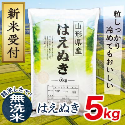ふるさと納税 最上町 [令和7年産新米受付]山形県産はえぬき5kg(無洗米)