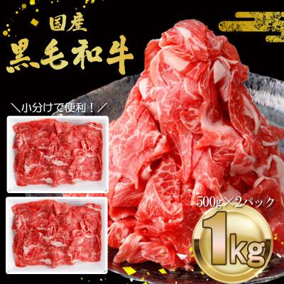 ふるさと納税 南島原市 訳あり!長崎黒毛和牛切り落とし 1kg(500g×2パック)