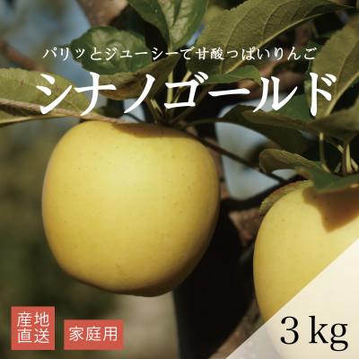 ふるさと納税 藤崎町 [産地直送]シナノゴールド 家庭用 3kg(7〜10個)