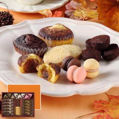 ふるさと納税 西宮市 [シーキューブ]ティラミス・ファンタジスタ S CAS(TF)-30