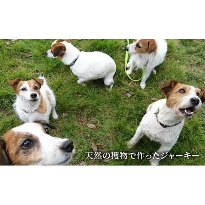 ふるさと納税 千葉市 千葉県で獲れたペット用猪ジャーキー(7個セット)計350g[53680348]の画像