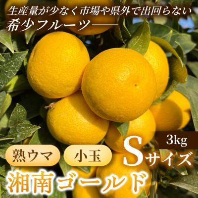 ふるさと納税 湯河原町 [希少フルーツ]熟ウマ☆小玉・湘南ゴールド(Sサイズ) 3kg