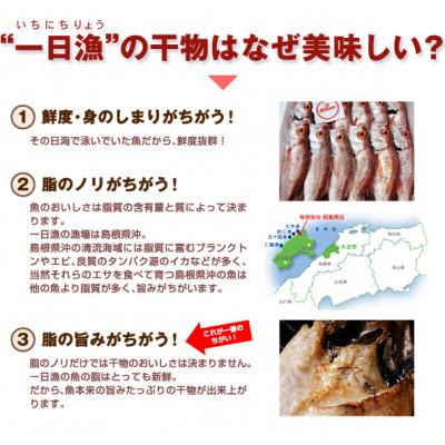 ふるさと納税 大田市 添加物不使用・天日塩仕上げ!大ぶりのどぐろと甘鯛の一夜干し(4枚セット)　D138_3