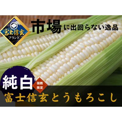 ふるさと納税 富士河口湖町 [さとふる人気急上昇1位達成]今までひた隠しにしてきた純白の富士信玄とうもろこし 4本 7月下旬発送