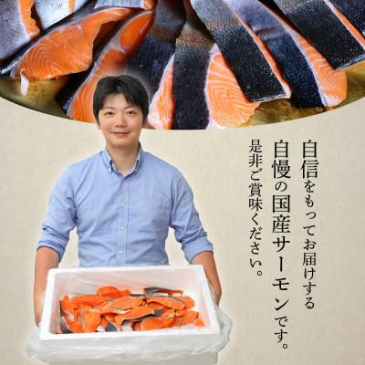 ふるさと納税 大竹市 檸檬年魚詰合せ仕かけるA 切落(80g×5p)+噴煙(40g×5p)+剥き身(3切×5p)