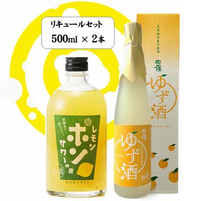 ふるさと納税 宮津市 白嶺500ml×2本 リキュールセット