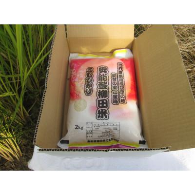 ふるさと納税 能登町 奥能登柳田米 こしひかり2Kg(令和7年産)